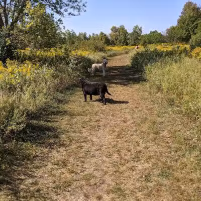 Springbrook Prairie Dog Park - Naperville, IL
