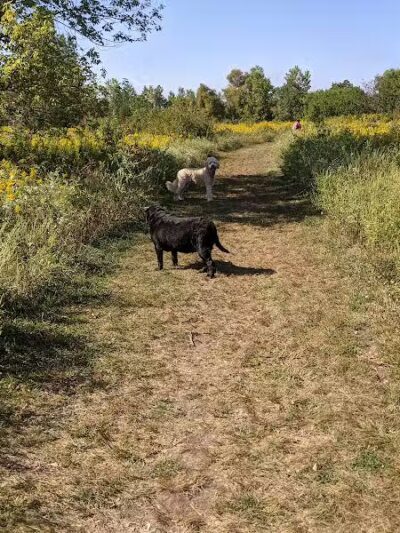 Springbrook Prairie Dog Park - Naperville, IL