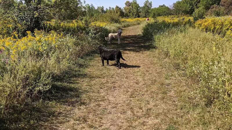 Springbrook Prairie Dog Park - Naperville, IL