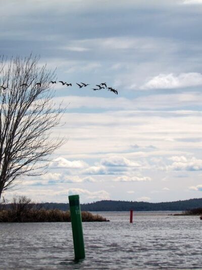 Sebago Lake State Park Campground - Naples, ME