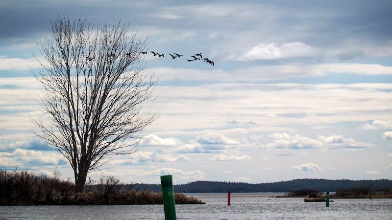 Sebago Lake State Park Campground - Naples, ME