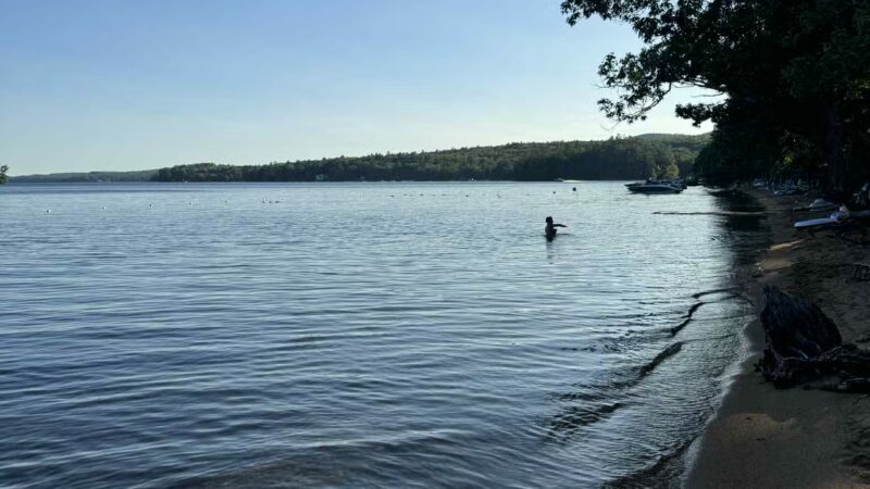 Sebago Lake State Park Campground - Naples, ME