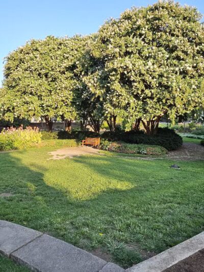 Centennial Dog Park - Nashville, TN