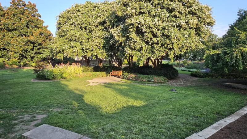 Centennial Dog Park - Nashville, TN