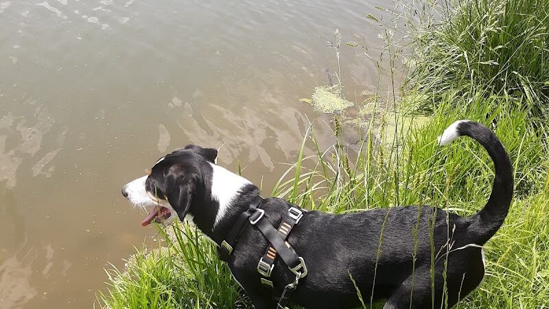 Two Rivers Dog Park - Nashville, TN