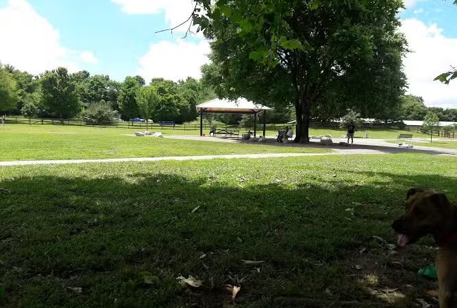 Two Rivers Dog Park - Nashville, TN
