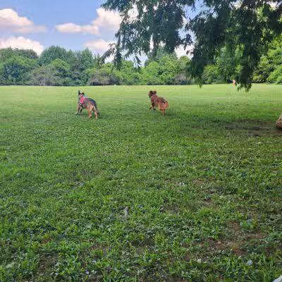 Two Rivers Dog Park - Nashville, TN