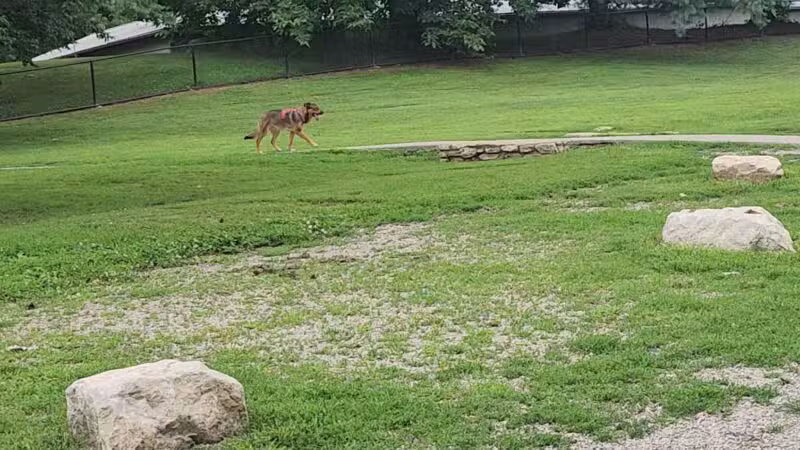 Two Rivers Dog Park - Nashville, TN