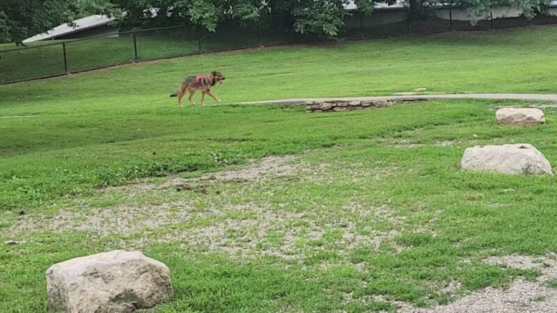 Two Rivers Dog Park - Nashville, TN
