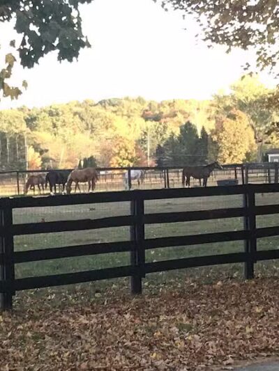 Empire State Trail North Chatham Trailhead (Albany-Hudson Electric Trail) - Nassau, NY