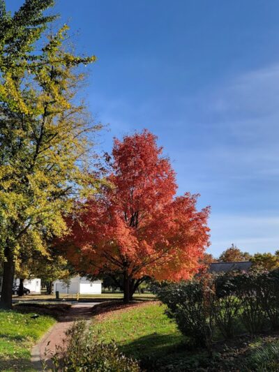 Nauvoo State Park - Nauvoo, IL