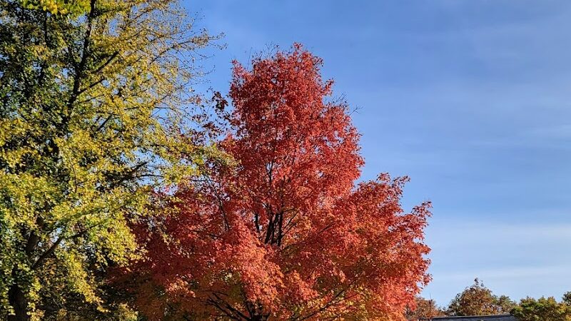 Nauvoo State Park - Nauvoo, IL