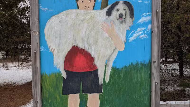 Room To Roam Dog Park - Nekoosa, WI