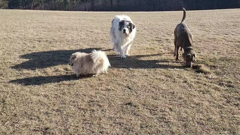 Room To Roam Dog Park - Nekoosa, WI