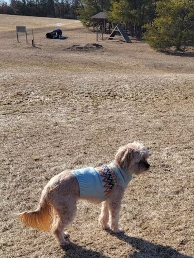 Room To Roam Dog Park - Nekoosa, WI