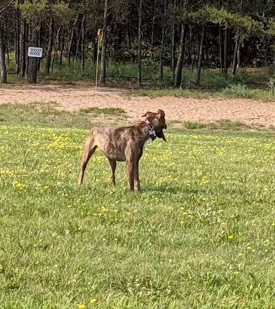 Room To Roam Dog Park - Nekoosa, WI
