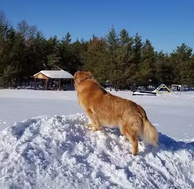 Room To Roam Dog Park - Nekoosa, WI