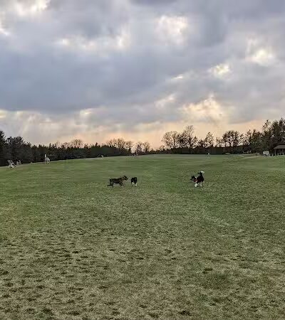 Room To Roam Dog Park - Nekoosa, WI