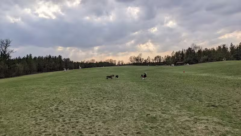 Room To Roam Dog Park - Nekoosa, WI