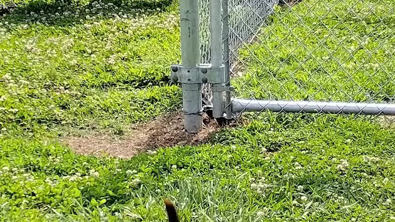 Scenic Park - Dog Park - Neosho, MO