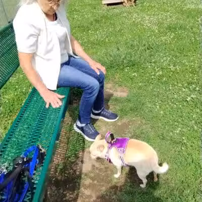 Scenic Park - Dog Park - Neosho, MO