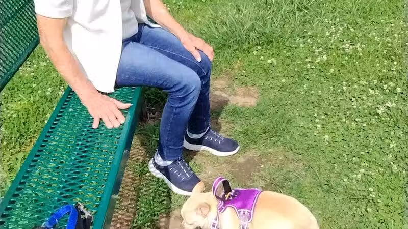 Scenic Park - Dog Park - Neosho, MO
