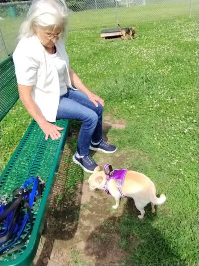 Scenic Park - Dog Park - Neosho, MO