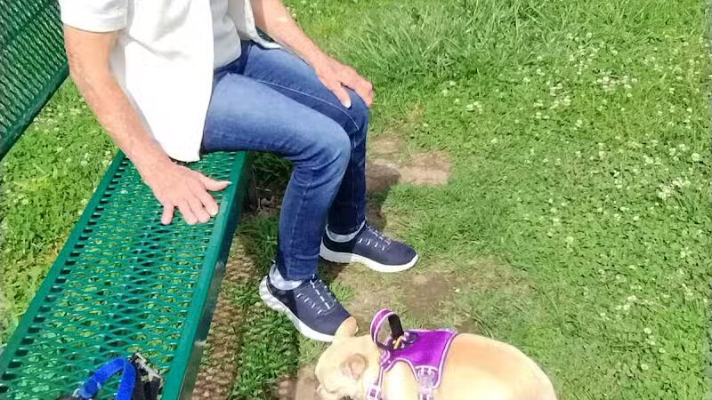 Scenic Park - Dog Park - Neosho, MO