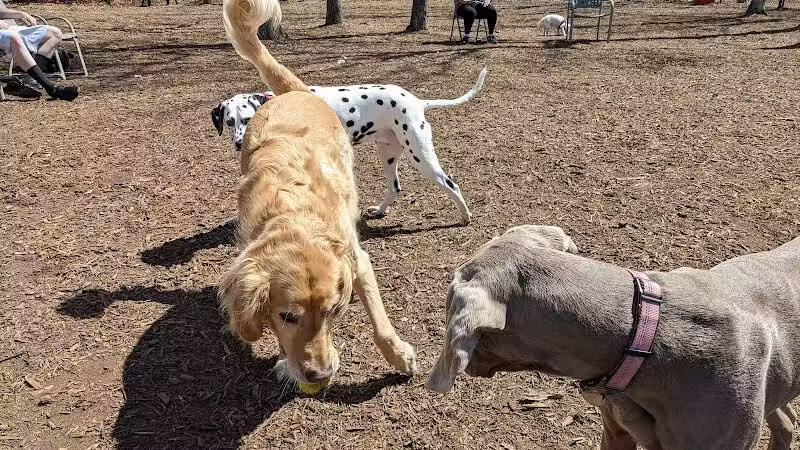 Smithtown Nesconset Dog Park - Nesconset, NY