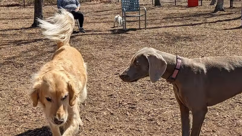 Smithtown Nesconset Dog Park - Nesconset, NY