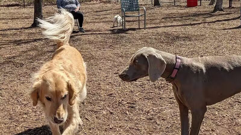 Smithtown Nesconset Dog Park - Nesconset, NY