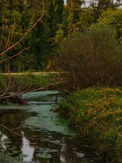 Riverside Park - Neshkoro, WI