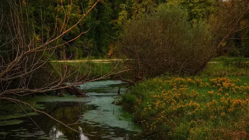 Riverside Park - Neshkoro, WI