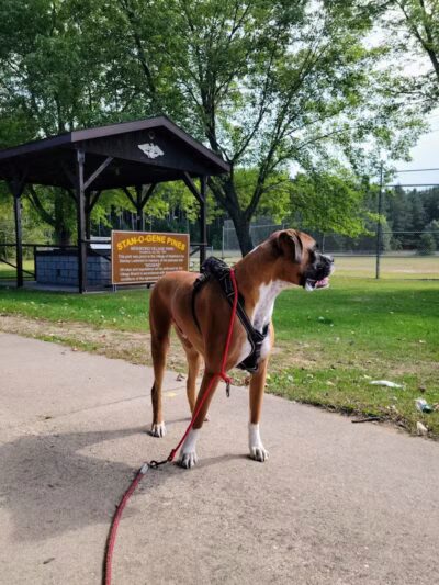 Stan-O-Gene Park - Neshkoro, WI