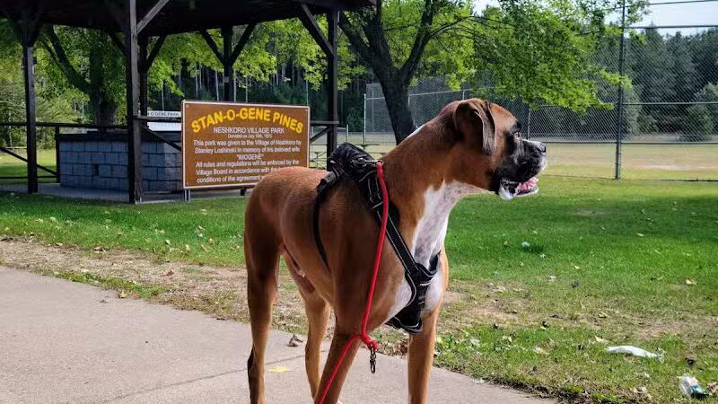 Stan-O-Gene Park - Neshkoro, WI