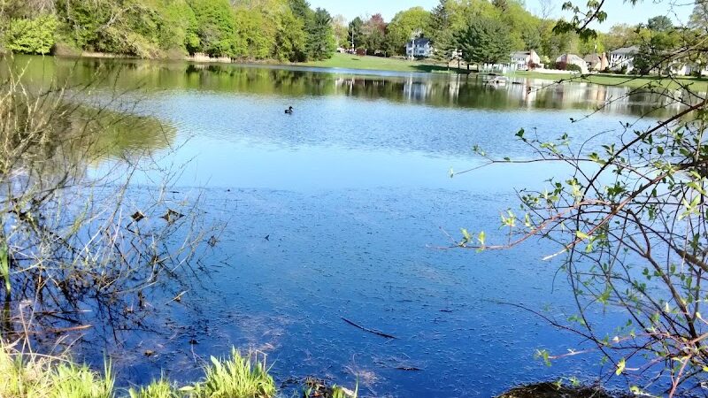 Martha Hart park - New Britain, CT