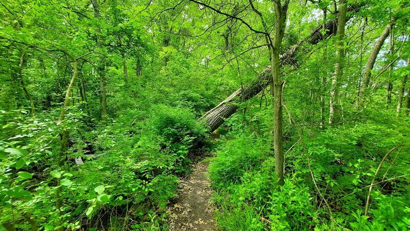 Martha Hart park - New Britain, CT