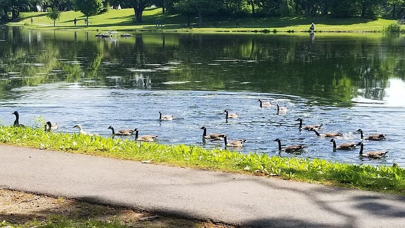Stanley Quarter Park - New Britain, CT