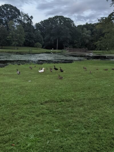 Stanley Quarter Park - New Britain, CT