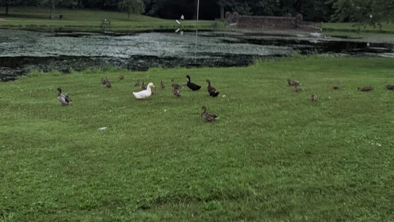 Stanley Quarter Park - New Britain, CT