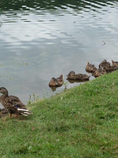 Stanley Quarter Park - New Britain, CT