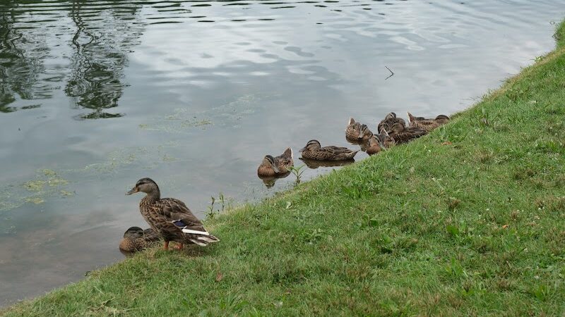 Stanley Quarter Park - New Britain, CT