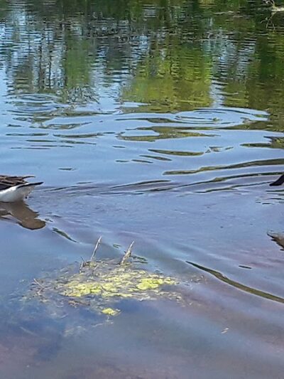 Stanley Quarter Park - New Britain, CT