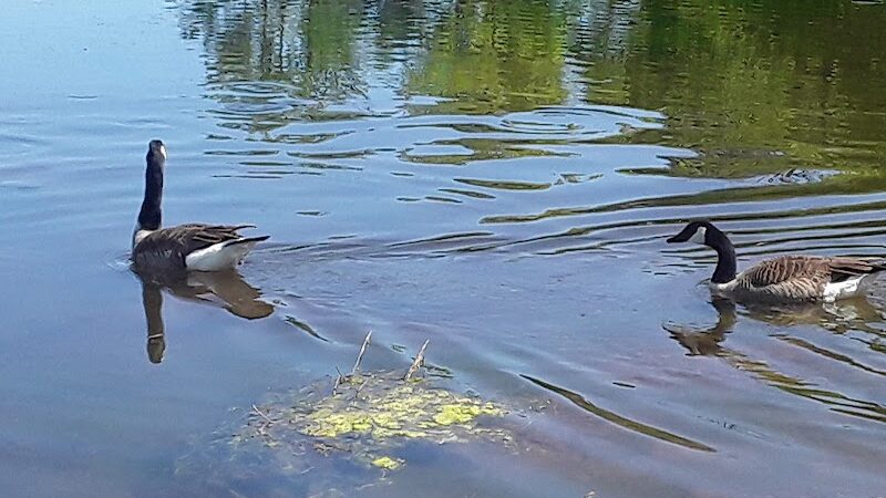 Stanley Quarter Park - New Britain, CT