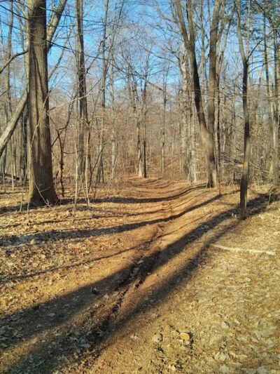 Stanley Quarter Park - New Britain, CT