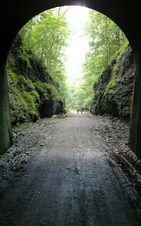 Tunnel Hill State Trail parking & trailhead - New Burnside, IL