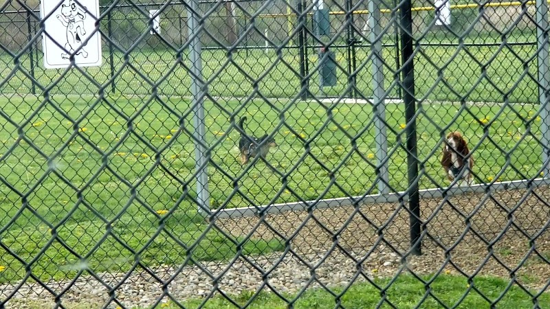 Hancock County Dog Park - New Cumberland, WV