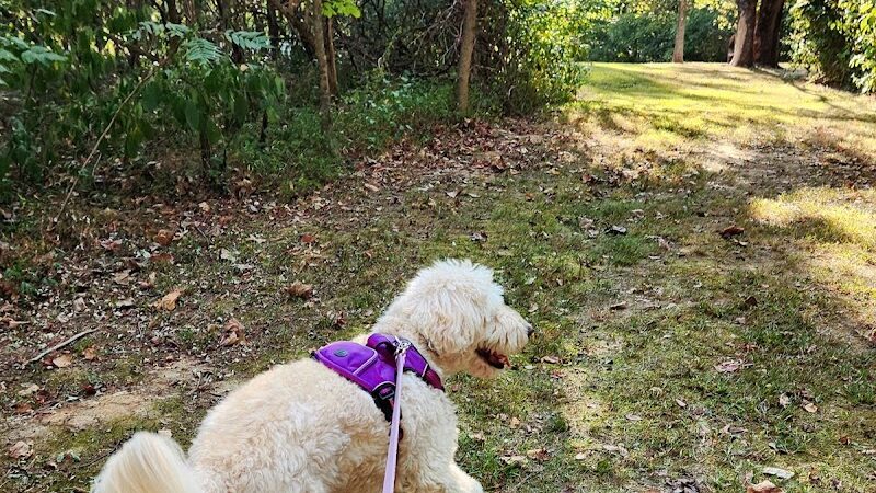 Harmonie State Park Campground - New Harmony, IN