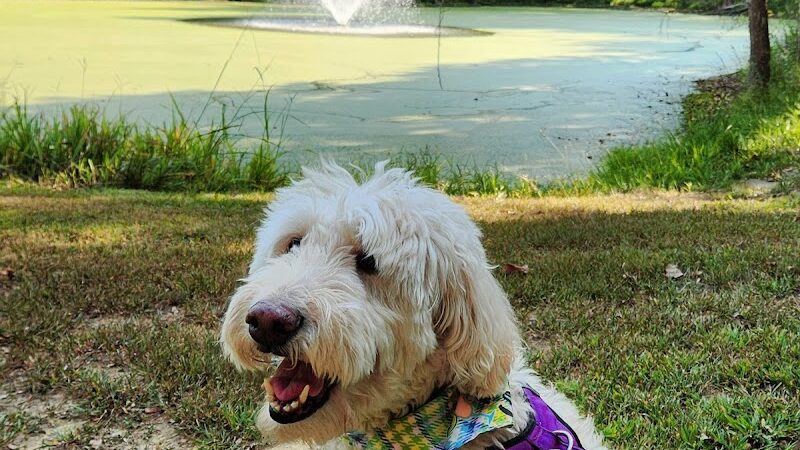 Harmonie State Park Campground - New Harmony, IN