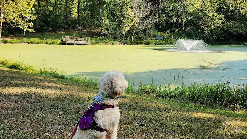 Harmonie State Park Campground - New Harmony, IN